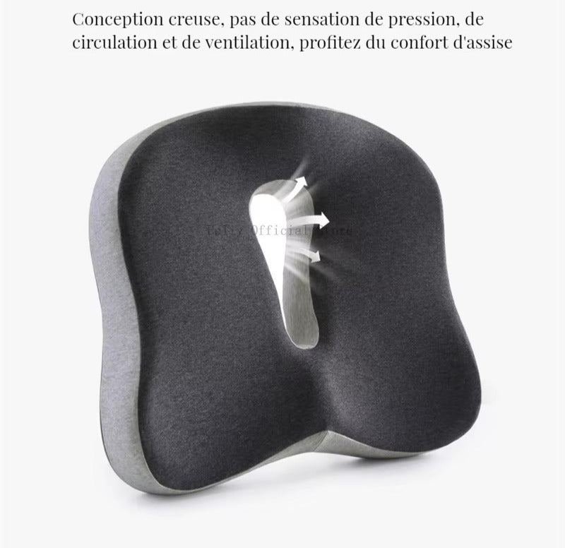 Coussin Soutien Lombaire